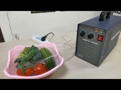 Water Treatment Household Ozone Generator Electrical Portable